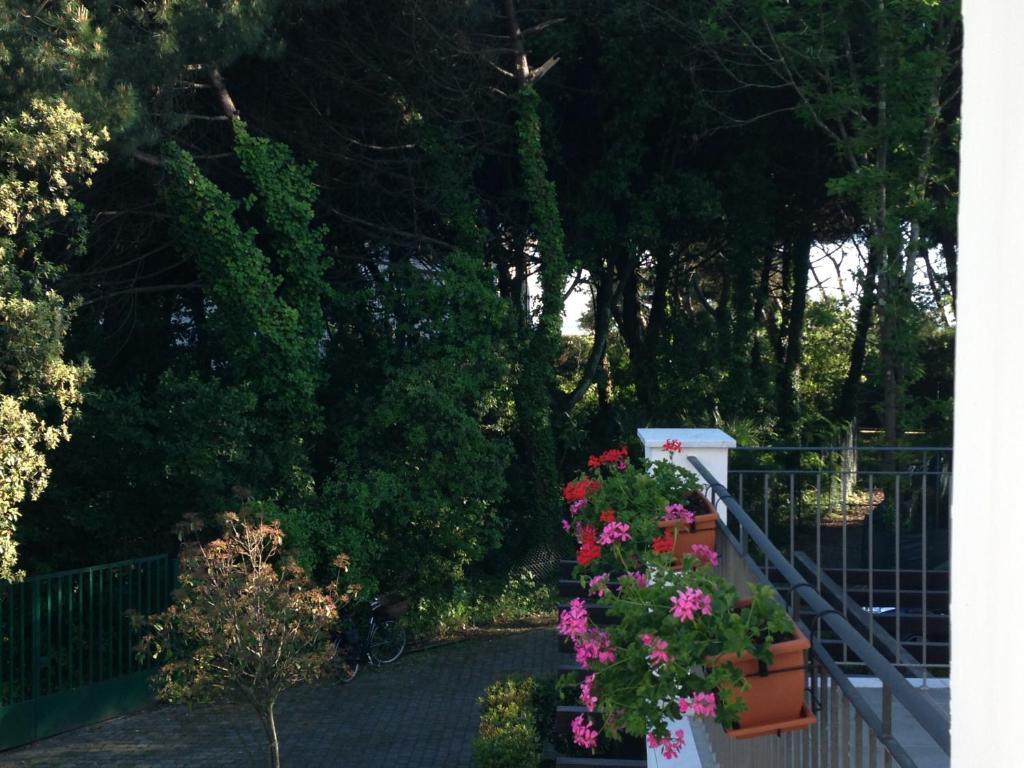 Residence Casa Bianca มารีนา ดิ มาซซา ภายนอก รูปภาพ